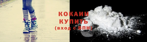 гидра Кукмор