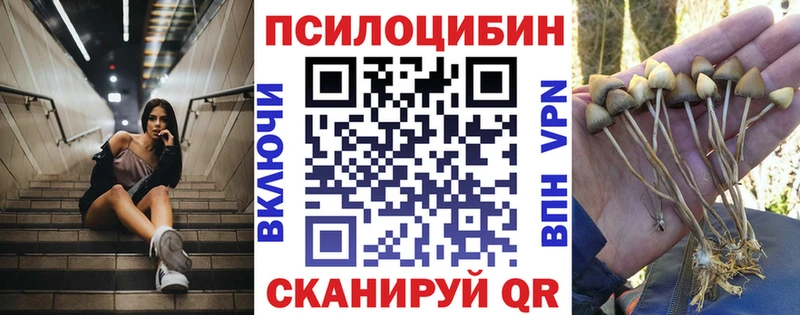 shop официальный сайт  купить наркотики цена  Черногорск  Псилоцибиновые грибы прущие грибы 